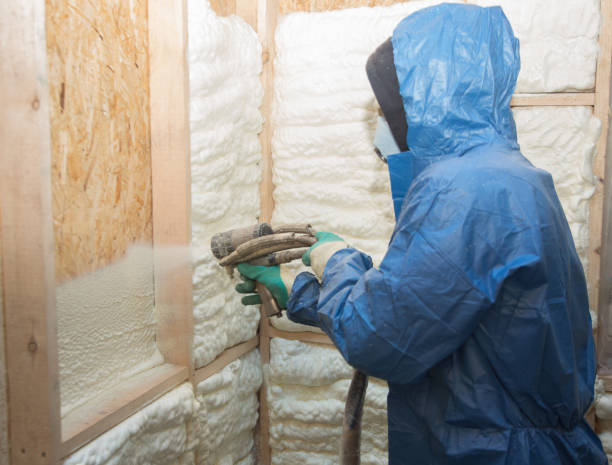 Eco-Friendly or Green Insulation Solutions in Wendell, ID